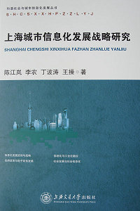 《上海城市信息化发展战略研究》